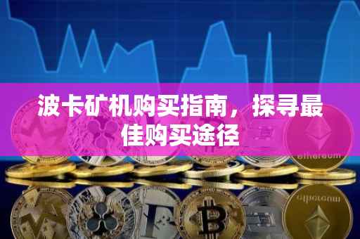 波卡矿机购买指南，探寻最佳购买途径