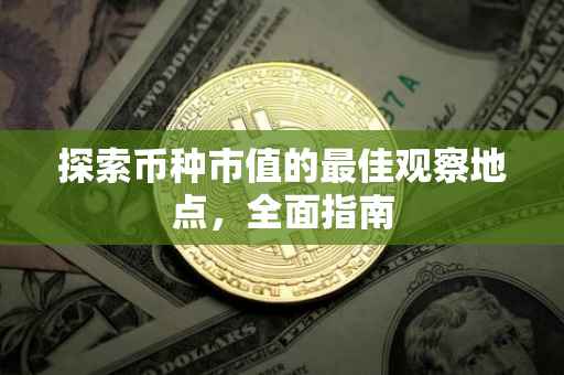 探索币种市值的最佳观察地点，全面指南