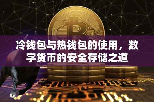 冷钱包与热钱包的使用，数字货币的安全存储之道