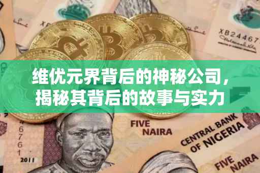 维优元界背后的神秘公司，揭秘其背后的故事与实力