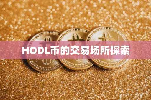HODL币的交易场所探索