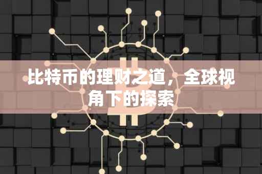 比特币的理财之道，全球视角下的探索