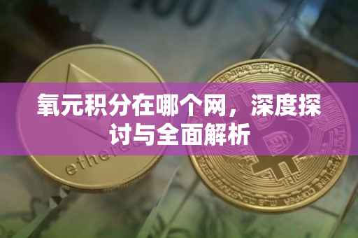 氧元积分在哪个网，深度探讨与全面解析