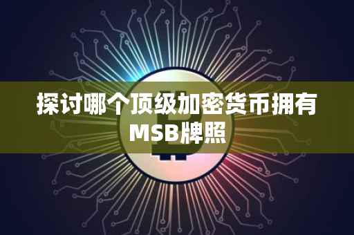 探讨哪个顶级加密货币拥有MSB牌照