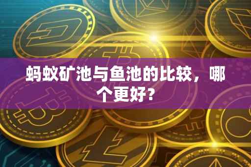 蚂蚁矿池与鱼池的比较，哪个更好？