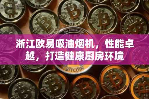 淅江欧易吸油烟机，性能卓越，打造健康厨房环境