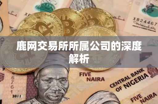 鹿网交易所所属公司的深度解析