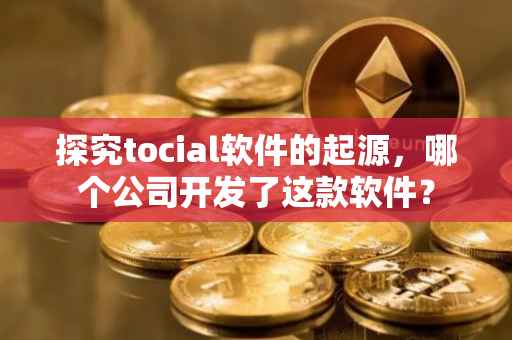 探究tocial软件的起源，哪个公司开发了这款软件？