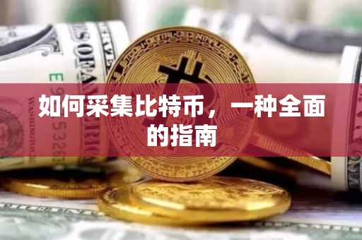 如何采集比特币，一种全面的指南
