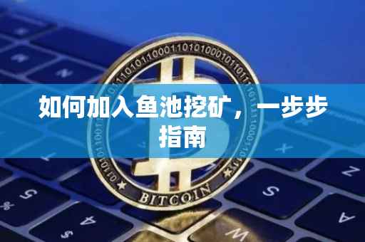 如何加入鱼池挖矿，一步步指南