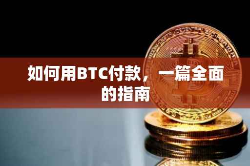 如何用BTC付款，一篇全面的指南