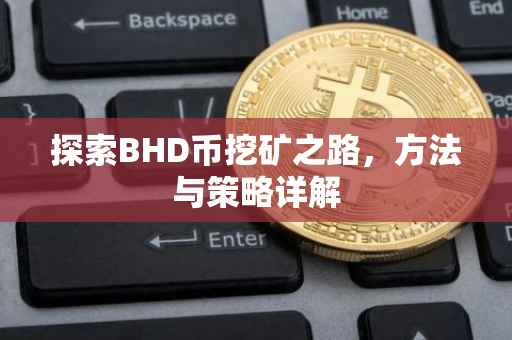 探索BHD币挖矿之路，方法与策略详解