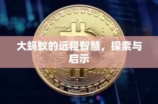 大蚂蚁的远程智慧，探索与启示