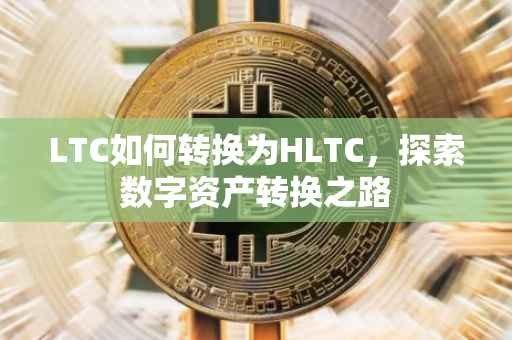 LTC如何转换为HLTC，探索数字资产转换之路