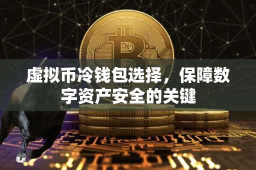 虚拟币冷钱包选择，保障数字资产安全的关键
