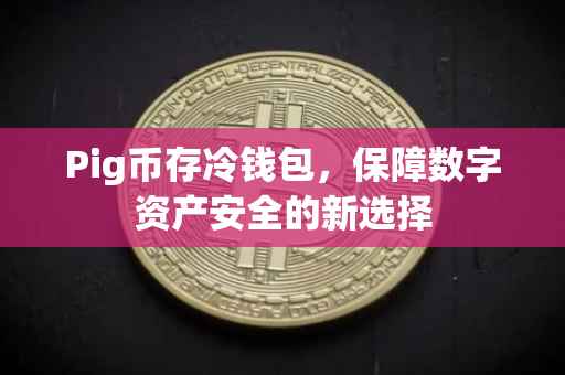 Pig币存冷钱包，保障数字资产安全的新选择