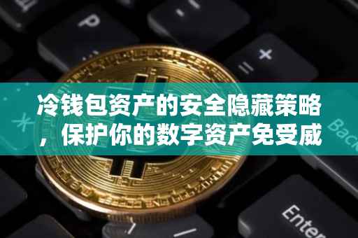 冷钱包资产的安全隐藏策略，保护你的数字资产免受威胁
