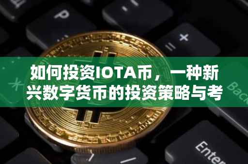 如何投资IOTA币，一种新兴数字货币的投资策略与考量