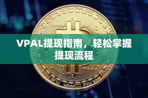 VPAL提现指南，轻松掌握提现流程