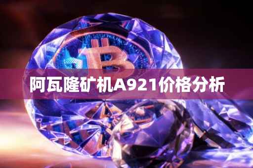 阿瓦隆矿机A921价格分析