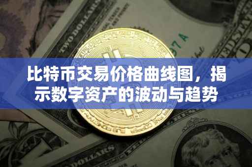 比特币交易价格曲线图，揭示数字资产的波动与趋势