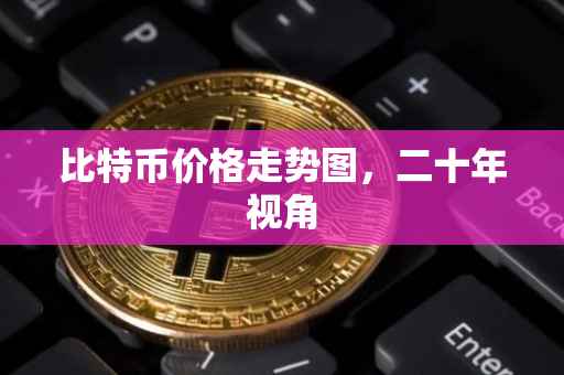 比特币价格走势图，二十年视角