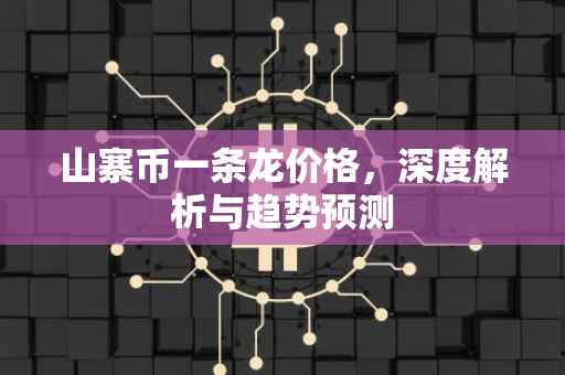 山寨币一条龙价格，深度解析与趋势预测