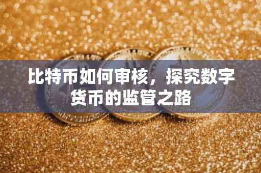 比特币如何审核，探究数字货币的监管之路