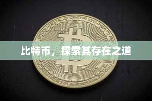 比特币，探索其存在之道