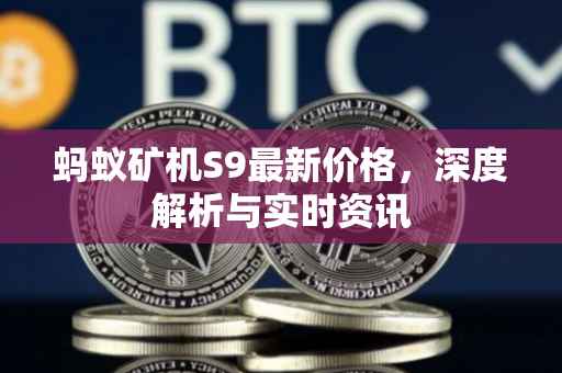 蚂蚁矿机S9最新价格，深度解析与实时资讯