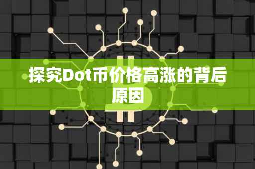 探究Dot币价格高涨的背后原因