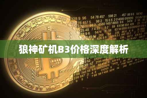 狼神矿机B3价格深度解析