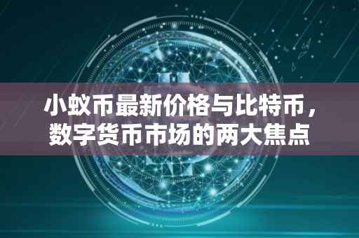 小蚁币最新价格与比特币，数字货币市场的两大焦点
