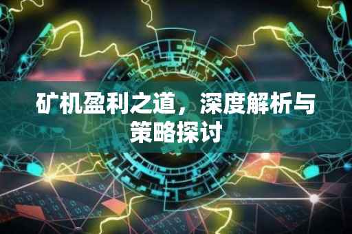 矿机盈利之道，深度解析与策略探讨
