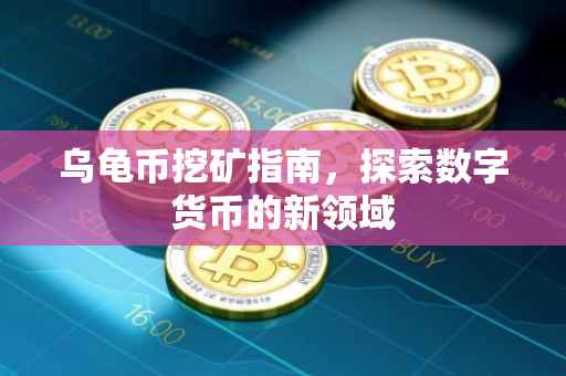 乌龟币挖矿指南，探索数字货币的新领域