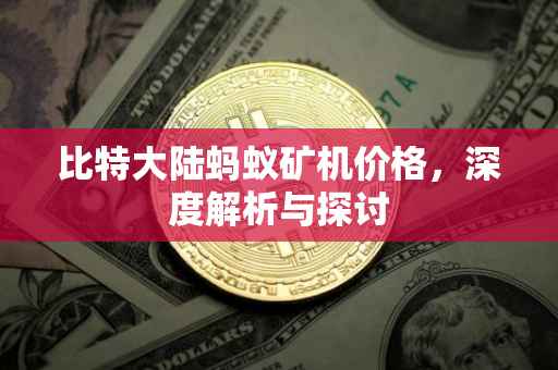 比特大陆蚂蚁矿机价格，深度解析与探讨