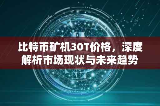 比特币矿机30T价格，深度解析市场现状与未来趋势