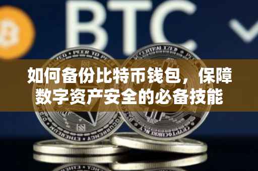 如何备份比特币钱包，保障数字资产安全的必备技能