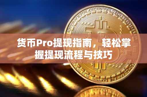 货币Pro提现指南，轻松掌握提现流程与技巧