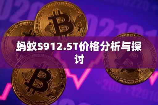 蚂蚁S912.5T价格分析与探讨
