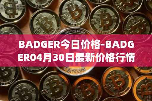 BADGER今日价格-BADGER04月30日最新价格行情-badger-dao最新走势消息
