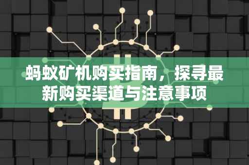 蚂蚁矿机购买指南，探寻最新购买渠道与注意事项