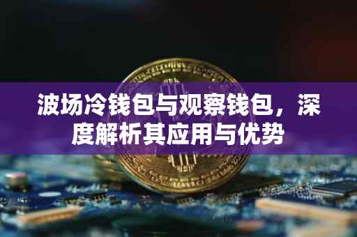 波场冷钱包与观察钱包，深度解析其应用与优势