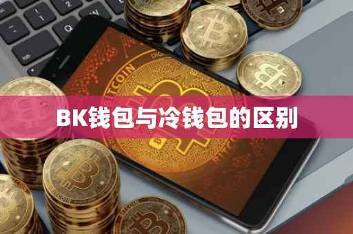BK钱包与冷钱包的区别