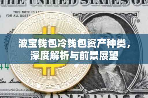 波宝钱包冷钱包资产种类，深度解析与前景展望