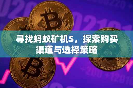 寻找蚂蚁矿机S，探索购买渠道与选择策略