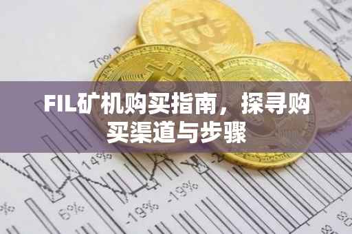 FIL矿机购买指南，探寻购买渠道与步骤