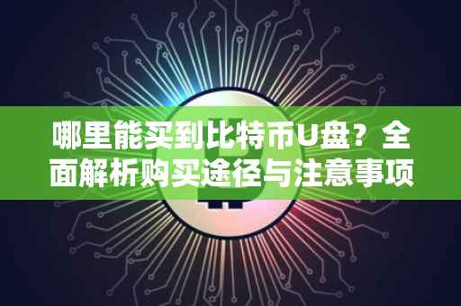 哪里能买到比特币U盘？全面解析购买途径与注意事项