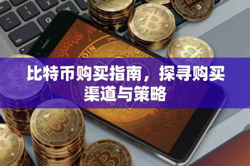 比特币购买指南，探寻购买渠道与策略