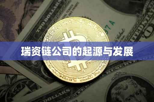 瑞资链公司的起源与发展